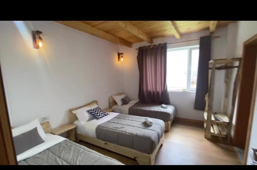 Guesthouse Dritan Tethorja テス エクステリア 写真