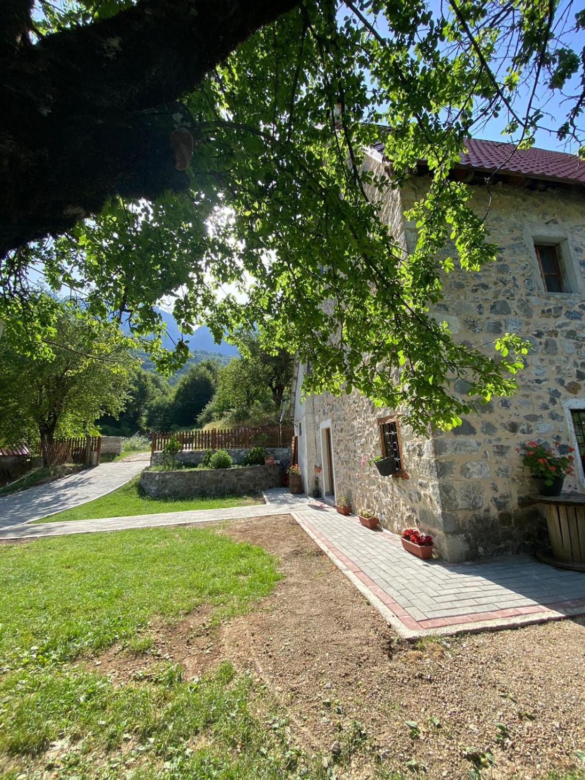 Guesthouse Dritan Tethorja テス エクステリア 写真