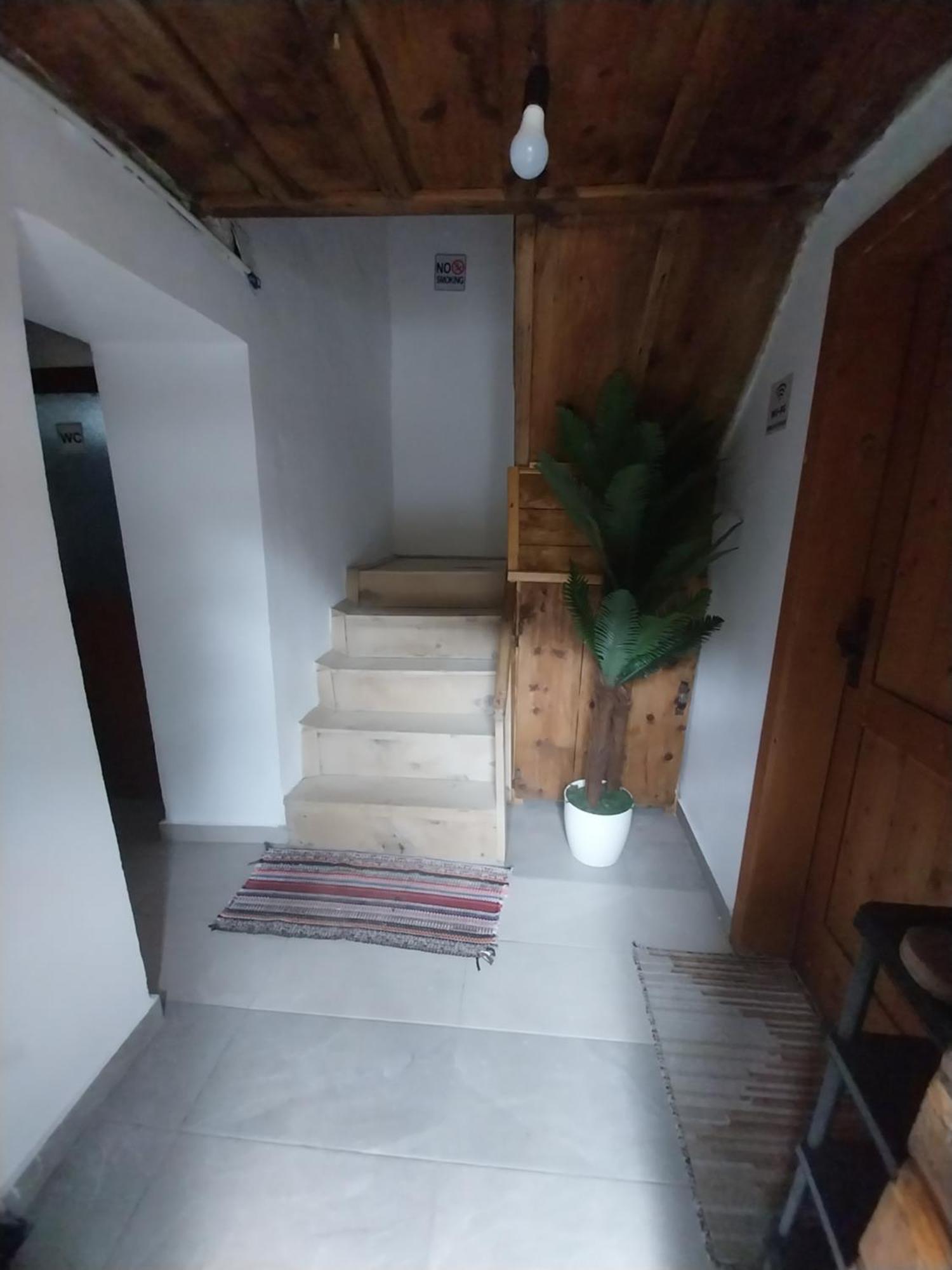 Guesthouse Dritan Tethorja テス エクステリア 写真