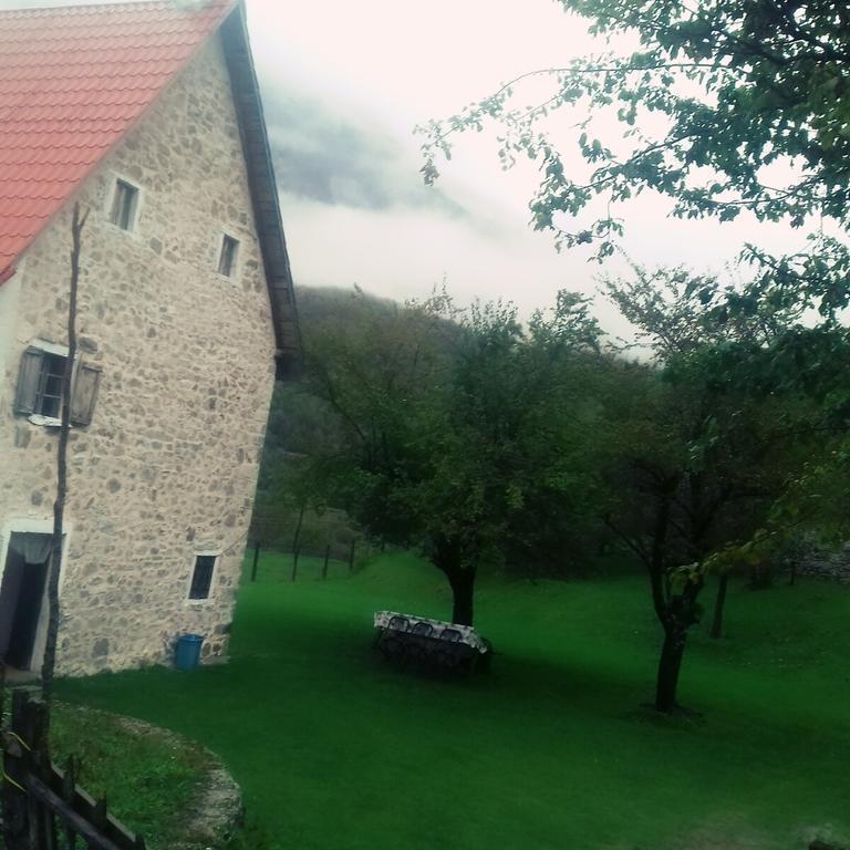 Guesthouse Dritan Tethorja テス エクステリア 写真