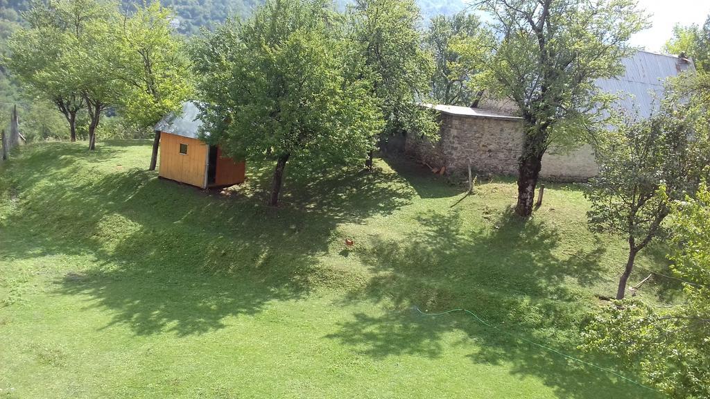 Guesthouse Dritan Tethorja テス エクステリア 写真