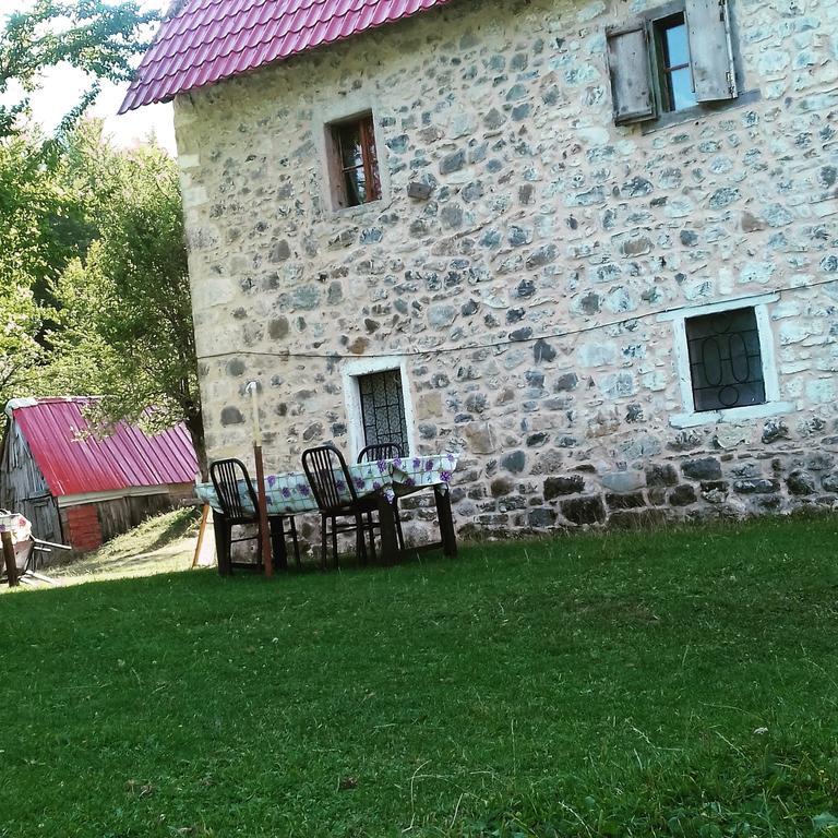 Guesthouse Dritan Tethorja テス エクステリア 写真