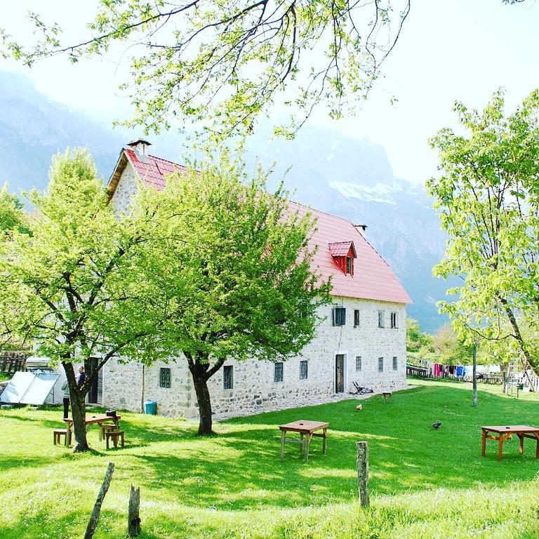 Guesthouse Dritan Tethorja テス エクステリア 写真