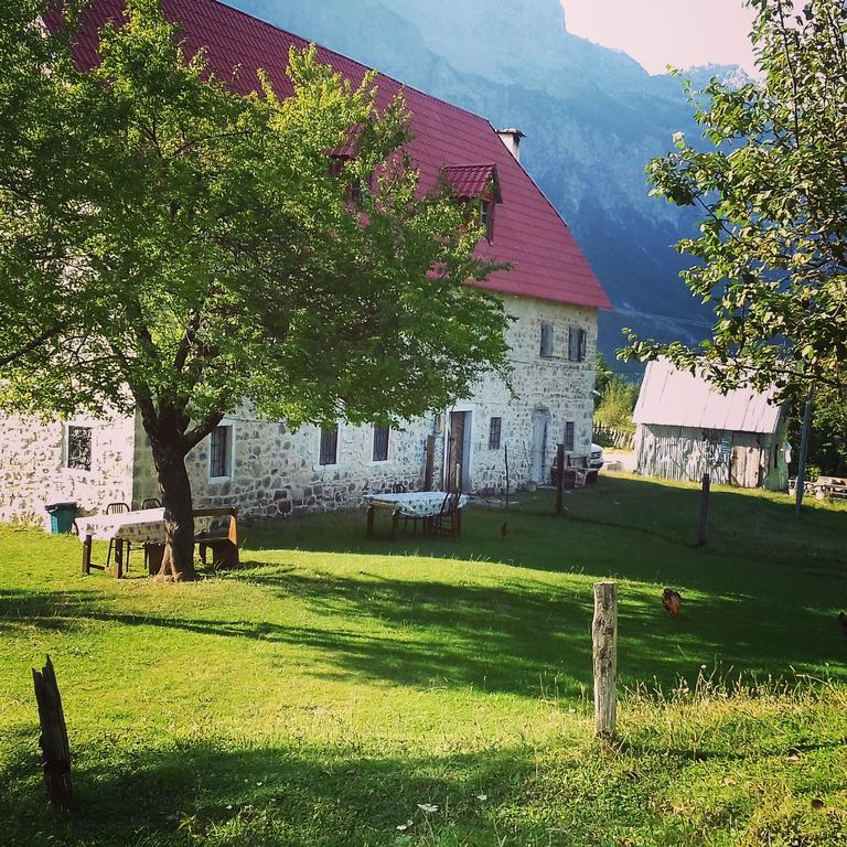 Guesthouse Dritan Tethorja テス エクステリア 写真