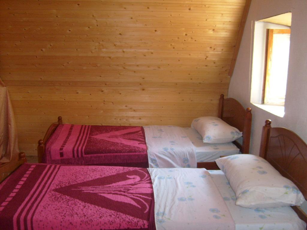 Guesthouse Dritan Tethorja テス エクステリア 写真