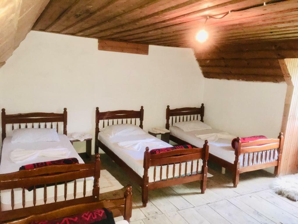 Guesthouse Dritan Tethorja テス エクステリア 写真