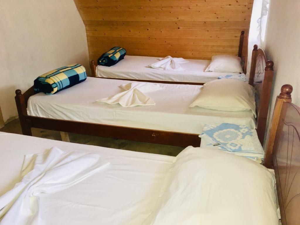 Guesthouse Dritan Tethorja テス エクステリア 写真