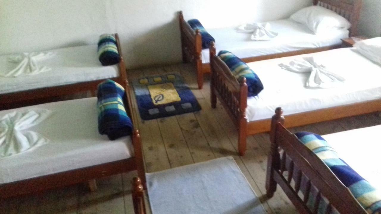 Guesthouse Dritan Tethorja テス エクステリア 写真