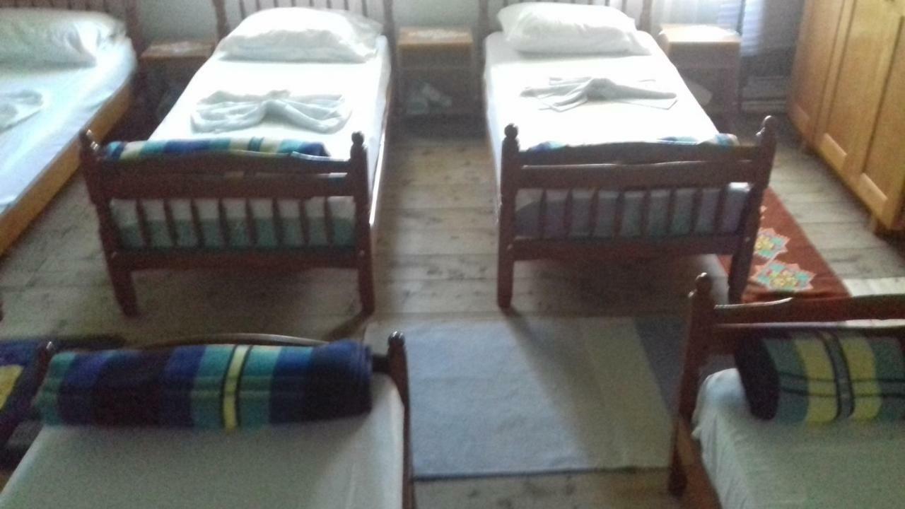 Guesthouse Dritan Tethorja テス エクステリア 写真