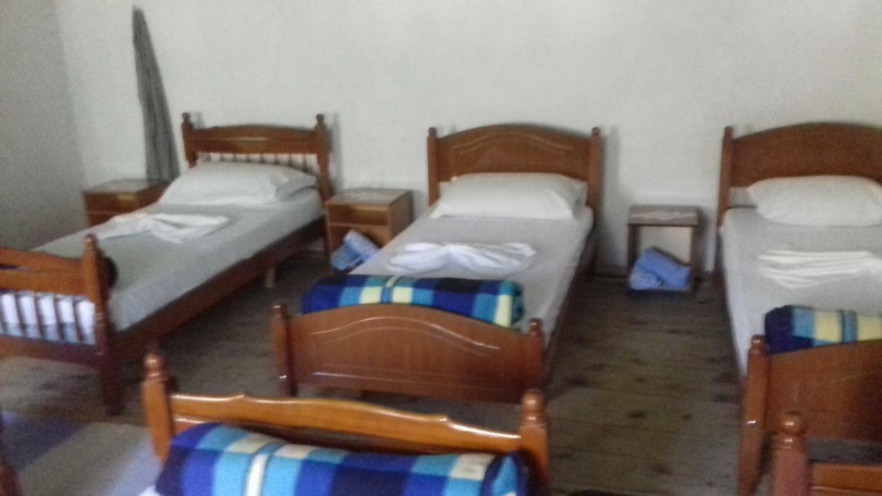 Guesthouse Dritan Tethorja テス エクステリア 写真