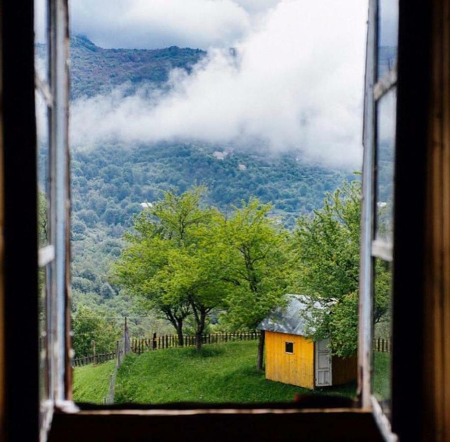 Guesthouse Dritan Tethorja テス エクステリア 写真